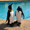 Emperor Penguin's Garden Ornaments