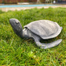 Aluminium Turtle Garden Ornament