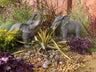 African and Lucky Elephant Set - Backyard Bliss