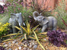 African and Lucky Elephant Set - Backyard Bliss