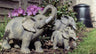 African and Lucky Elephant Set - Backyard Bliss