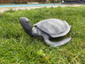 Aluminium Turtle - Backyard Bliss