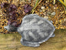 Aluminium Turtle - Backyard Bliss