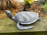 Aluminium Turtle - Backyard Bliss