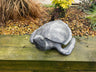 Aluminium Turtle - Backyard Bliss