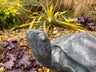 Aluminium Turtle - Backyard Bliss