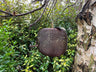 Apple Bird Feeder - Backyard Bliss