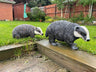Badger and Badger Cub - Backyard Bliss