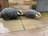 Badger and Badger Cub - Backyard Bliss