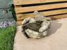 Bird in Hands Birdbath - Backyard Bliss