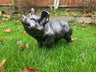 Bronze Happy Pig Garden Ornament - Backyard Bliss