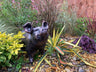 Bronze Happy Pig Garden Ornament - Backyard Bliss