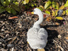 Classic Swan - Backyard Bliss