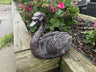 Classic Swan - Backyard Bliss