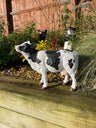 Dairy Cow - Backyard Bliss