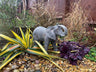 Elegant Elephant - Backyard Bliss