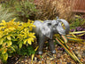 Elegant Elephant - Backyard Bliss