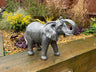 Elegant Elephant - Backyard Bliss