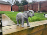 Elegant Elephant - Backyard Bliss
