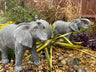 Elegant Elephant - Backyard Bliss
