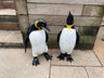 Emperor Penguin's - Backyard Bliss