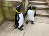 Emperor Penguin's - Backyard Bliss