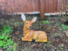 Friendly Fawn - Backyard Bliss