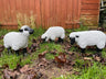 Fuzzy Sheep - Set of 3 - Backyard Bliss