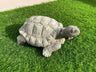 Garden Tortoise Statue - Backyard Bliss