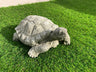 Garden Tortoise Statue - Backyard Bliss