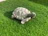 Garden Tortoise Statue - Backyard Bliss