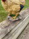 Golden Hen - Backyard Bliss