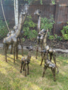 Gorgeous Giraffe Family Metal Set - Backyard Bliss