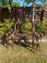Gorgeous Giraffe Family Metal Set - Backyard Bliss