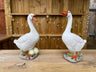 Graceful Geese Pair - Backyard Bliss