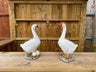 Graceful Geese Pair - Backyard Bliss