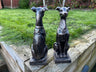 Gracious Greyhound Set - Backyard Bliss