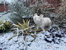 Happy Pig - White - Backyard Bliss