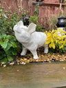 Happy Pig - White - Backyard Bliss