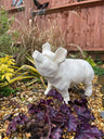 Happy Pig - White - Backyard Bliss