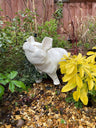 Happy Pig - White - Backyard Bliss