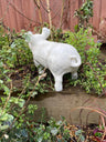 Happy Pig - White - Backyard Bliss
