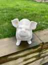Happy Pig - White - Backyard Bliss