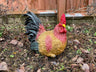 Hennie Hen - Backyard Bliss