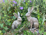 Henry & Harriet Hares - Backyard Bliss