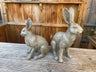 Henry & Harriet Hares - Backyard Bliss