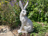 Large White March Hare | Garden Statue