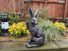 Large March Hare - Backyard Bliss