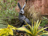 Large March Hare - Backyard Bliss