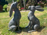 Large Moon - Gazing Graphite Hares Set - Backyard Bliss